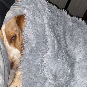 Meet your Posher, Chrissy